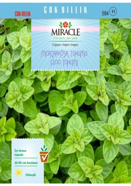 Miracle Mercanköşk Tohumu (200 Tohum)