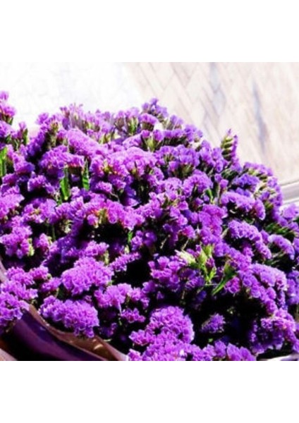 Limonium Sinuatum Lilac Lavender Deniz Lavantası Tohumu(30 Tohum)(40 Tohum)