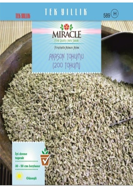 Miracle Anason Tohumu (200 Tohum)