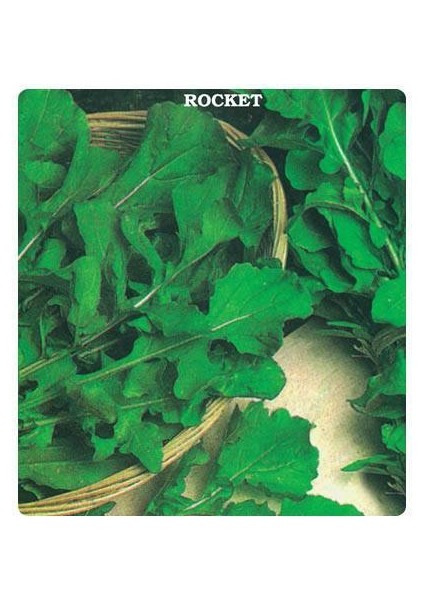 Roka Tohumu (Geniş Yaprak) 500 Gram