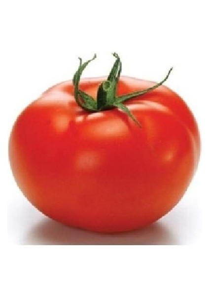 Doğal SC2121 Domates Tohumu(20 Tohum)