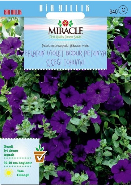Miracle Eflatun Alderman Violet Bodur Petunya Çiçeği Tohumu (800 Tohum)