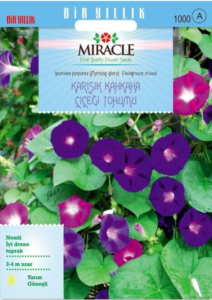 Miracle Karışık Fielgrown Kahkaha Çiçeği Tohumu (10 Tohum)