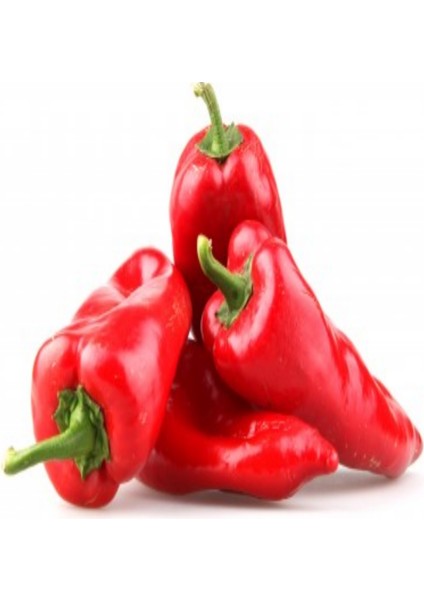 Burkap Yağlık Tombul Kapya Biber TOHUMU(220 Tohum)