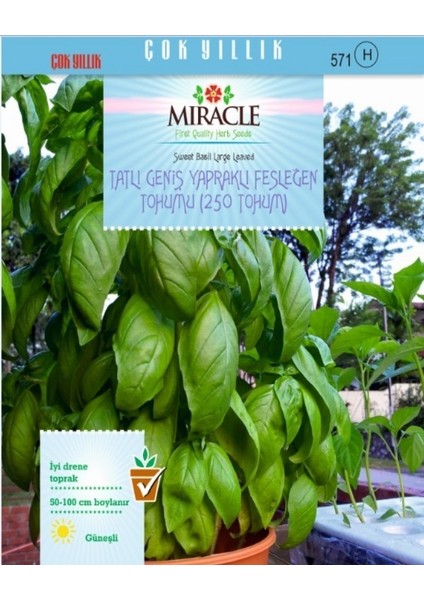 Miracle Tatlı Geniş Yapraklı Fesleğen Tohumu (250 Tohum)