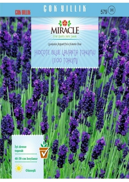 Miracle Hidcote Blue Lavanta Tohumu (100 Tohum)