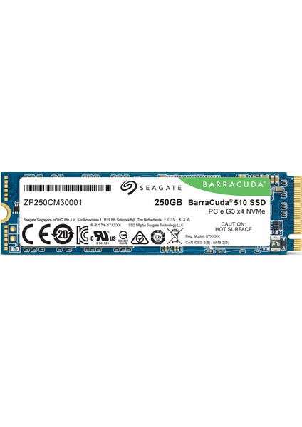 Seagate Barracuda 250GB M.2 Pcıe (Nvme) 510 SSD