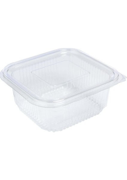 Plastik Sızdırmaz Kap 250 cc 100 'lü