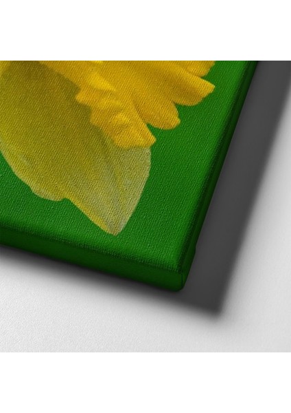 Nergis Çiçeği Tablo ÇÇK110 indirimleri