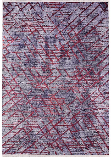 Modern Mor Renk Lacivert ve Kırmızı Çizgi Detaylı Yıkanabilir Halı HLN1420