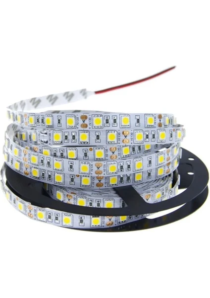 3 Çipli Mavi Şerit LED 20 METRE+12V Trafo Kuruluma Hazır Set