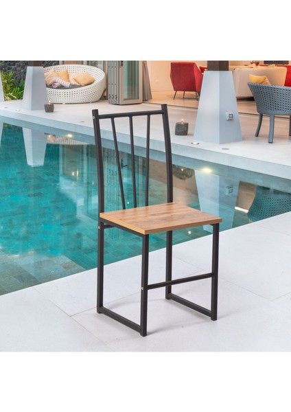 Star Salon Ve Mutfak Sandalyesi 1251