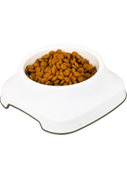Pet Plastart Mama Kabı | 2 Lt. fiyatları
