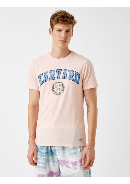 Erkek Harvard Tişört Lisanslı Baskılı