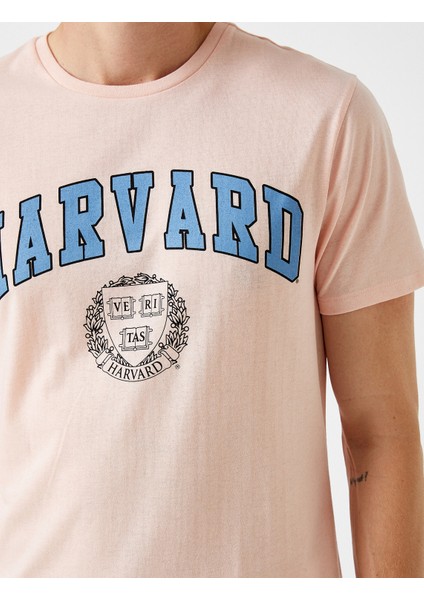 Erkek Harvard Tişört Lisanslı Baskılı