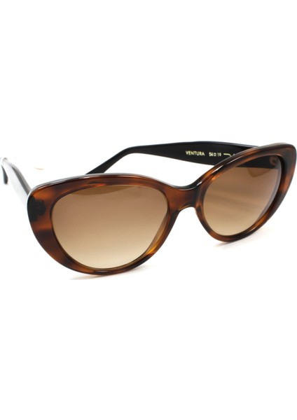 Ventura Dark Brown 54 Güneş Gözlüğü