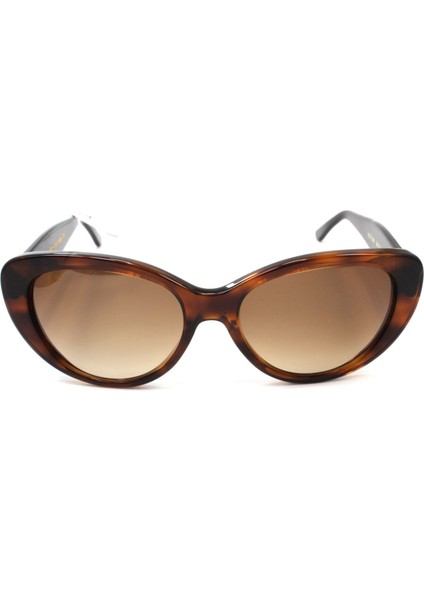 Ventura Dark Brown 54 Güneş Gözlüğü fiyatları