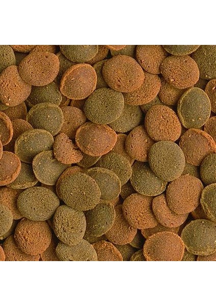 Wafermix 15GR ( Vatoz, Kaya Balığı, Karides Yemi) fiyatları