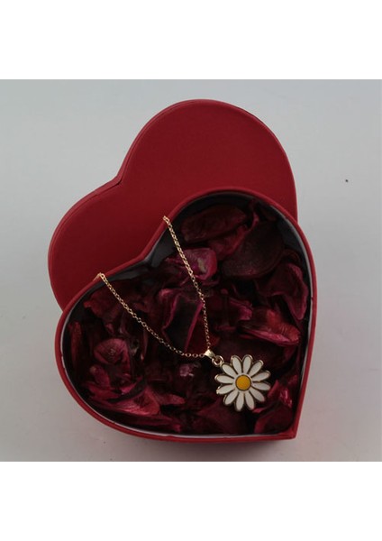 Sevgiliye Papatya Kolye Altın Kaplama Kalp Kutu Set