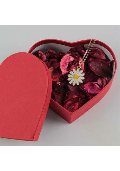 Sevgiliye Papatya Kolye Altın Kaplama Kalp Kutu Set fiyatları