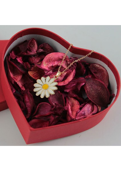 Sevgiliye Papatya Kolye Altın Kaplama Kalp Kutu Set modelleri