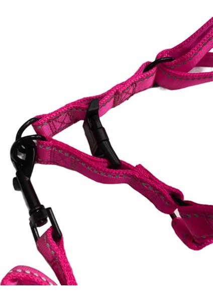 Neon Pembe Fosforlu Göğüs ve Gezdirme Tasma Seti (Göğüs 40-55 Cm)
