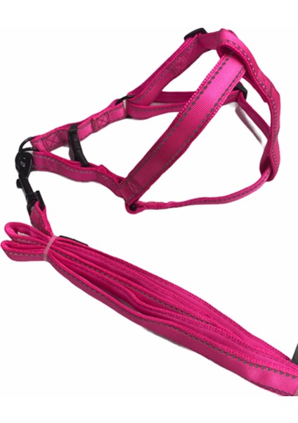 Neon Pembe Fosforlu Göğüs ve Gezdirme Tasma Seti (Göğüs 55-70 Cm)