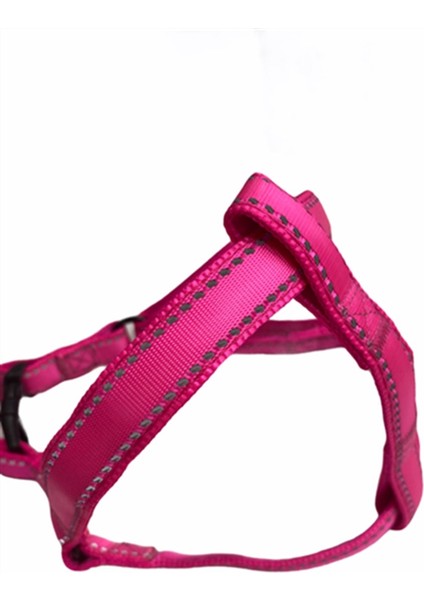 Neon Pembe Fosforlu Göğüs ve Gezdirme Tasma Seti (Göğüs 55-70 Cm) fiyatları