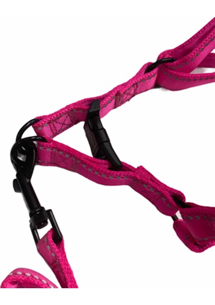 Neon Pembe Fosforlu Göğüs ve Gezdirme Tasma Seti (Göğüs 55-70 Cm) modelleri