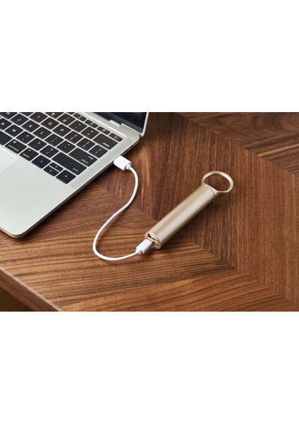 Nomaday Powerbank Dore