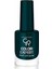 Color Expert Oje 133 1