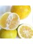 Tüplü Aşılı Nadir Bulunan Tatlı Şeker Limon Fidanı 1