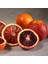Içi Dışı Kırmızı Blood Orange Portakal Fidanı (Sınırlı Stok) 2