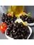 Tüplü Salamuralık Gemlik Trilye Zeytin Fidanı 2