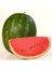 Watermelon Karpuz Fidesi (5 Fide) 1