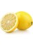 Tüplü Tatlı Limon Şeker Limon Fidanı 1