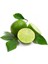 Özel Ürün Tüplü Meksika Lime Limon Fidanı 1