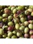 Sofralık Ayvalık Edremit Zeytin Fidanı 1