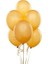 Balon Evigold Lateks Balon 10'lu 1