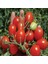 Doğal Riesentraube Salkım Güzeli Domates Tohumu(20 Tohum) 1