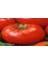 Doğal Beefsteak Domates Tohumu(20 Adet) 1