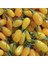 Amber Sweet Altuni Sarı Goji Berry Tohumu (1000 Tohum) 4