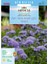 Miracle Ageratum Mexicanum Mavi Vapur Dumanı Çiçeği Tohumu (1000 Tohum) 1