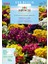 Miracle Karışık Renkli Onbir Ay Çuha Çiçeği Tohumu (50TOHUM) 1