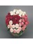 Mix Katmerli Bellis Perennis Ponpon Ingiliz Çayır Papatyası Çiçeği TOHUMU(100 Tohum) 4