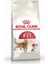 Royal Canin Royal Canin,fit 32, 4 Kg, Yetişkin, Kuru Kedi Maması 1