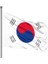 Raşhel Kumaş Güney Kore Bayrağı 70 x 105 cm 1