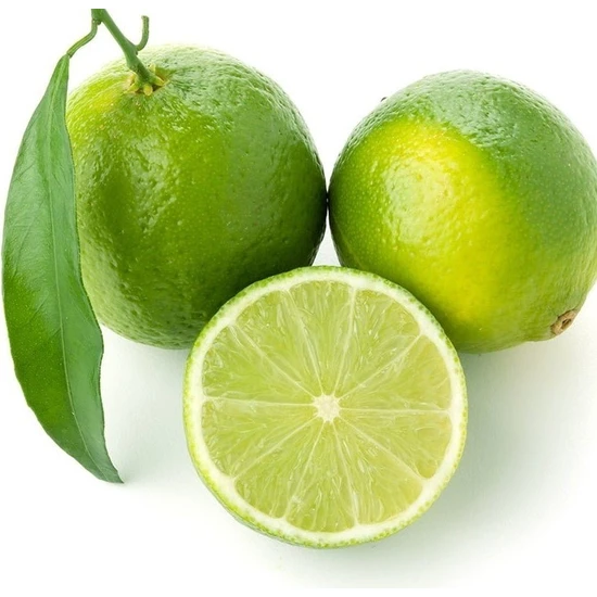 Tohum Bul Özel Üretim Verde Lime Şeker Lime Fidanı