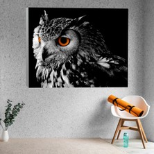 Deko Gonya Siyah Beyaz Görünümlü Baykuş Kanvas Tablo