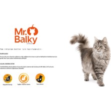 Mr. Balky Açık Tavuklu Yetişkin Kedi Maması 1 kg Türkiyenin Ilk Gdo Suz Maması